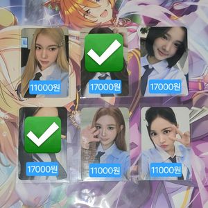 티니핑 하투하 콜라보 포카