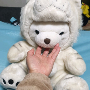 아이들이 좋아하는 인형 곰 호랑이 인형