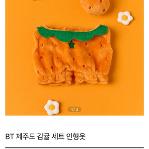버터샵 제주도 감귤 세트 인형옷