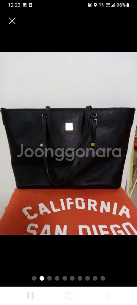 여성 시슬리 레인보우 쇼퍼백--1