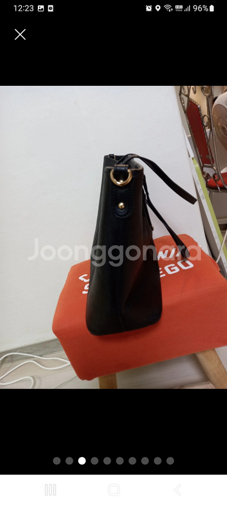 여성 시슬리 레인보우 쇼퍼백--2