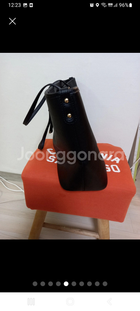 여성 시슬리 레인보우 쇼퍼백--4