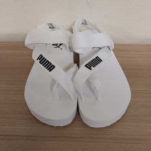 남녀공용 푸마 썸머 캣 쪼리샌들 (250)