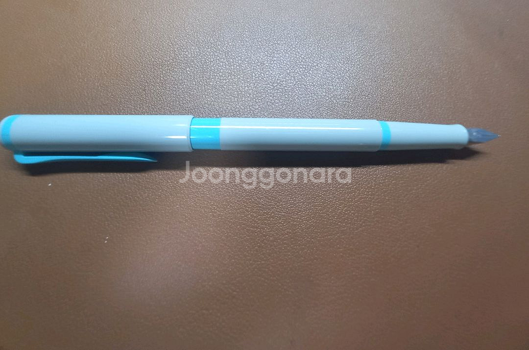 빈티지 펠리칸 만년필--2