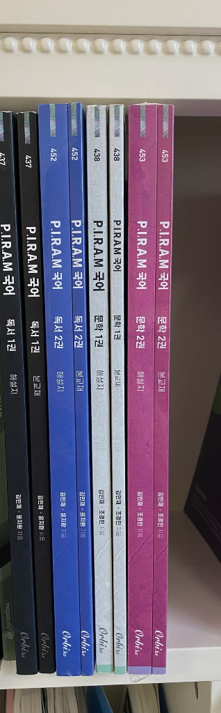 피램 생각의 전개 문학,독서--0