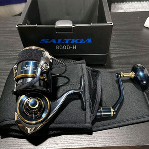 다이와 20 솔티가 8000H