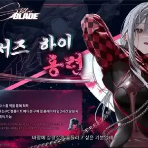 홍련 스블 스킨코드 판매합니다 전서버 가능