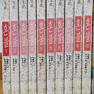 최명희 혼불