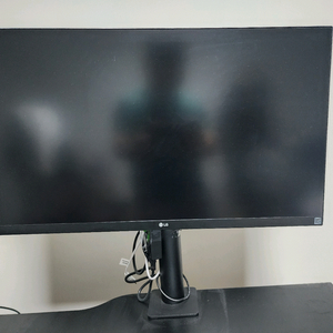 LG 27인치 4K HDR 모니터 (27UN880)