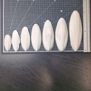 갑오징어 뼈 가루. 건조 뼈