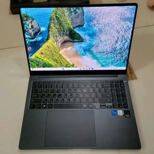 삼성 갤럭시북3 프로 NT960XFT 256+500G