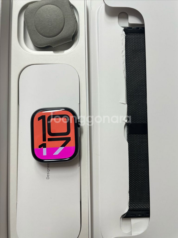 애플워치10티타늄 46mm 슬레이트 밀레니즈 SSS급--0