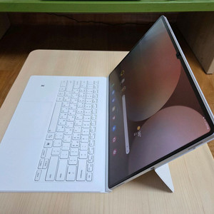 갤럭시탭S10 울트라 5G 1테라 실버