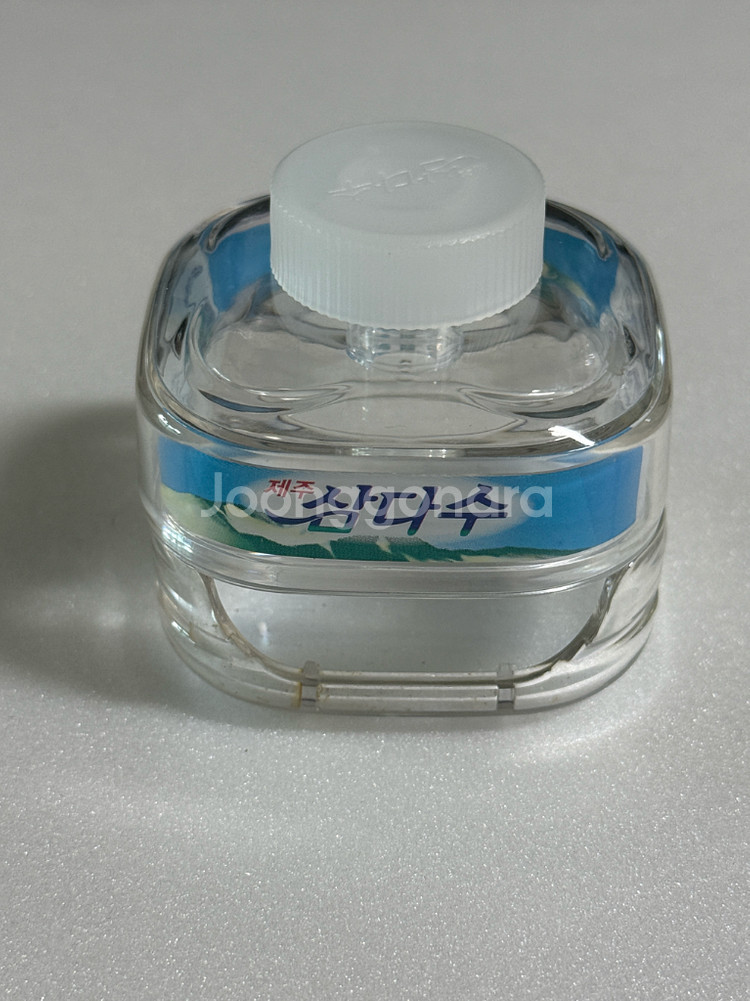 버즈 2프로 삼다수 케이스--1