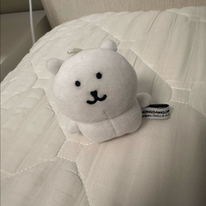 8cm 농담곰 ( 오늘만 )