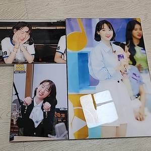신지윤