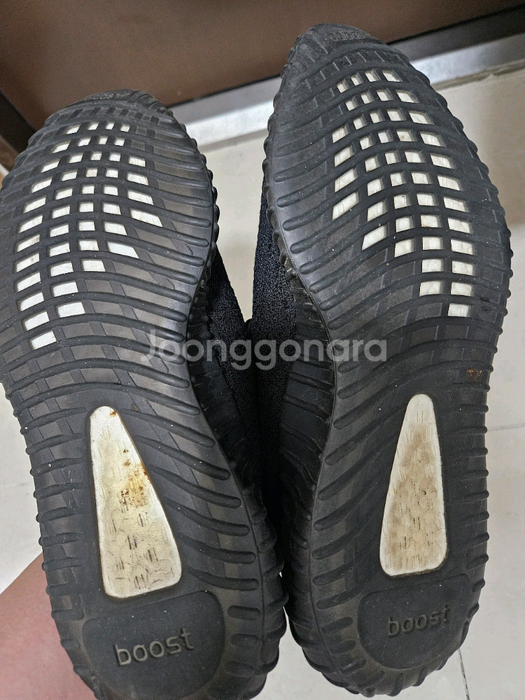 이지부스트 350 v2 브레드--3