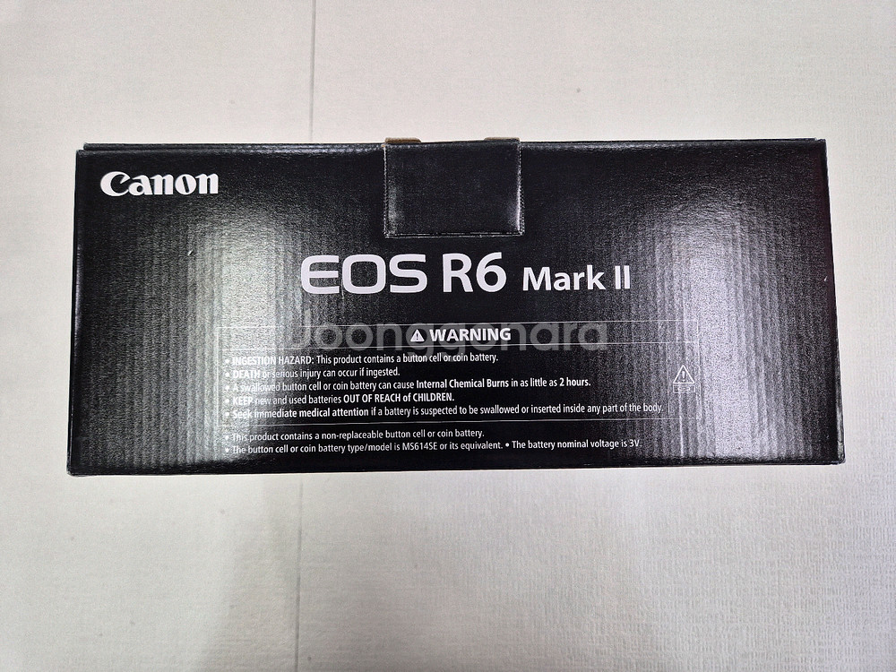 Canon EOS R6 Mark II--0