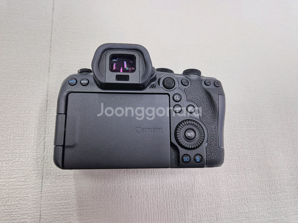 Canon EOS R6 Mark II--3