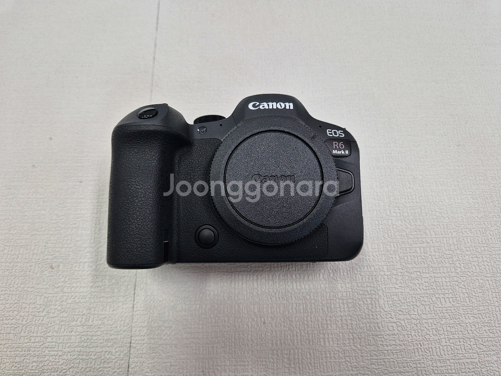 Canon EOS R6 Mark II--2
