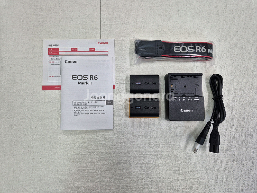 Canon EOS R6 Mark II--6