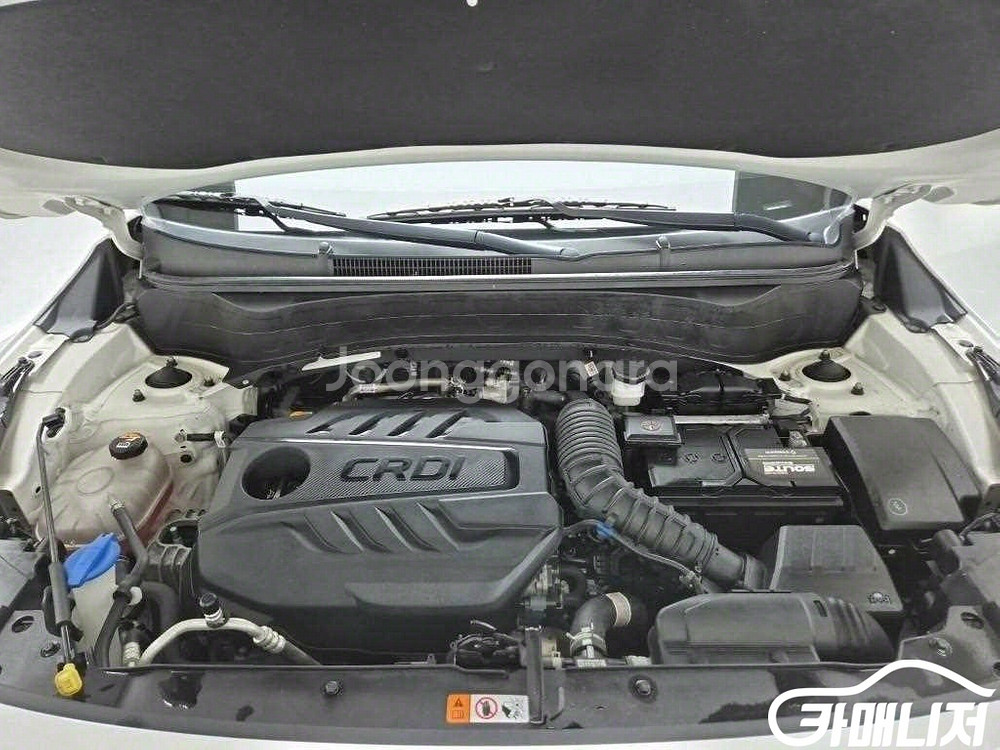 [기아]셀토스 디젤 1.6 4WD 트렌디 (5인승) #--4