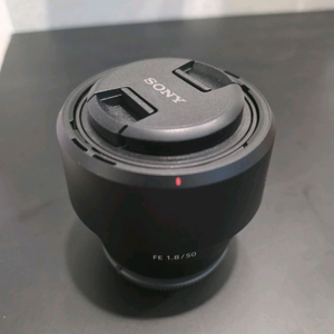 소니 FE 50mm F1.8 SEL50F18F