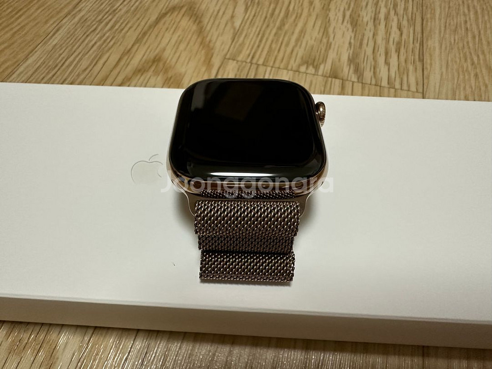 애플워치 10 골드 티타늄 46mm / 25년 6월1일--5