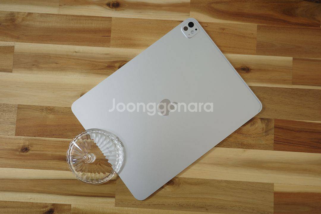 아이패드 프로 13 M4 256GB 실버--1