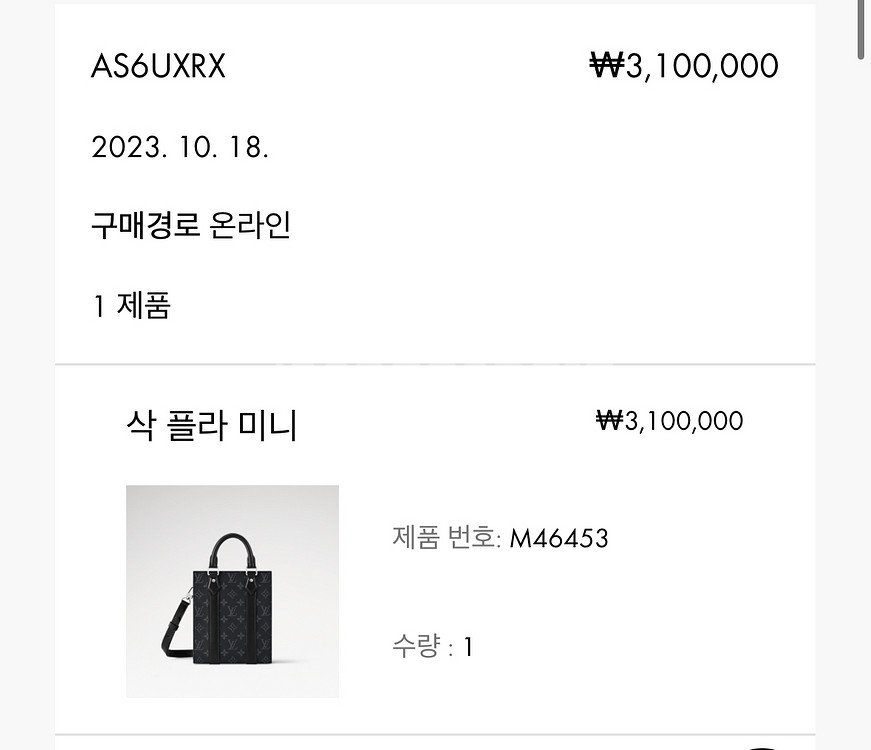 루이비통 삭플라 미니--4