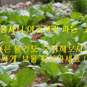 [공지사항]7월까지 일반택배 2800원에 배송합니다
