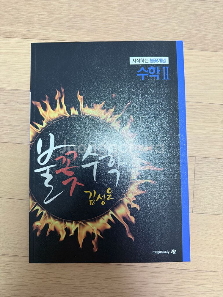 김성은 시작하는 불꽃개념 수2--0