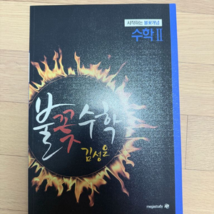 김성은 시작하는 불꽃개념 수2