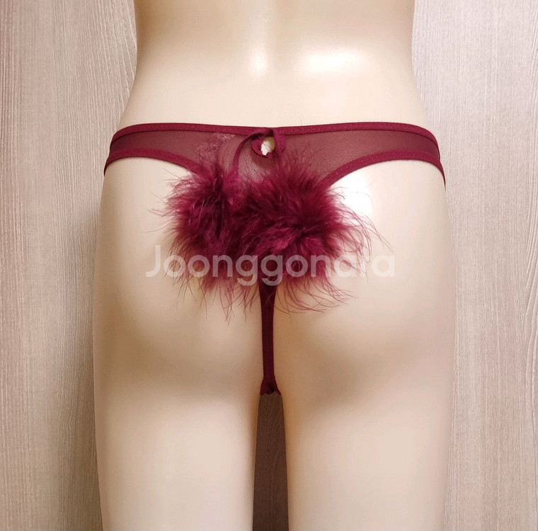 섹시 바니걸 티팬티 프리--2