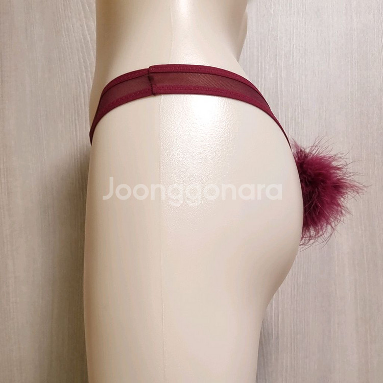 섹시 바니걸 티팬티 프리--1