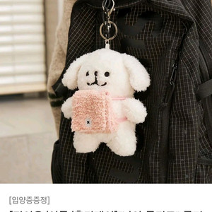 룸디 나야 몰티즈 보조배터리 판매
