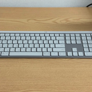 로지텍 MX Keys s