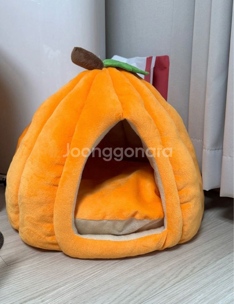 반려동물 호박 집 팝니다! (새 상품)--1
