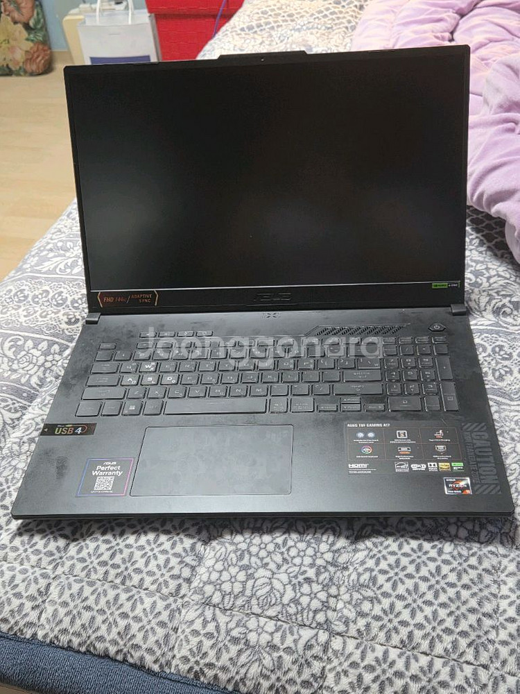 ASUS TUF 게이밍 A17--2