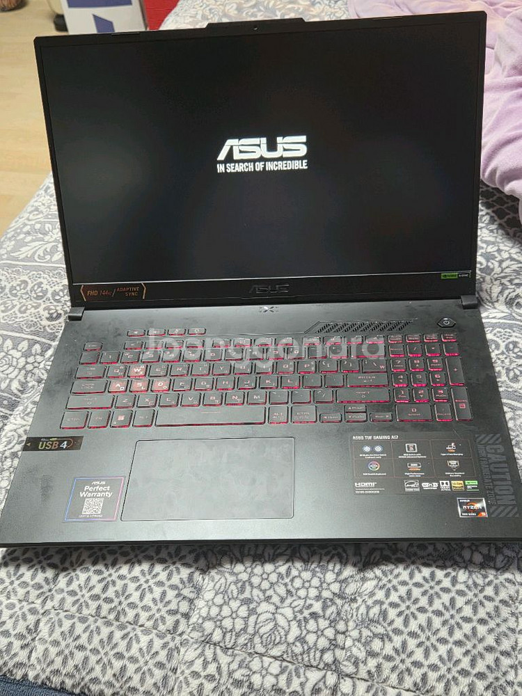 ASUS TUF 게이밍 A17--3