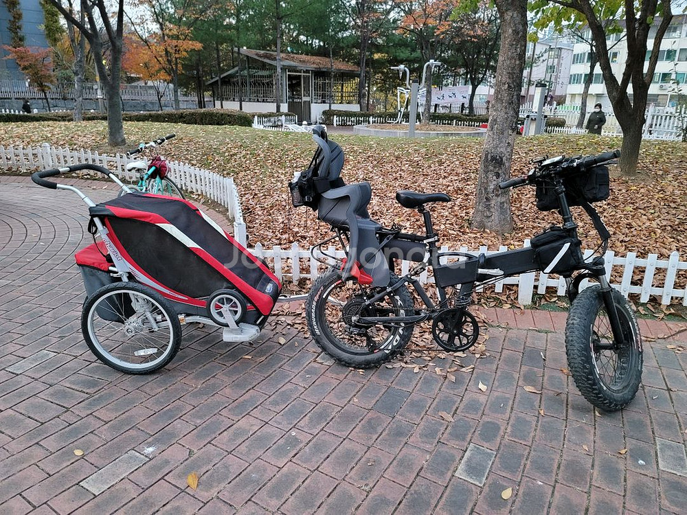 아이채이리엇 쿠거1 자전거 트레일러 1인승--0