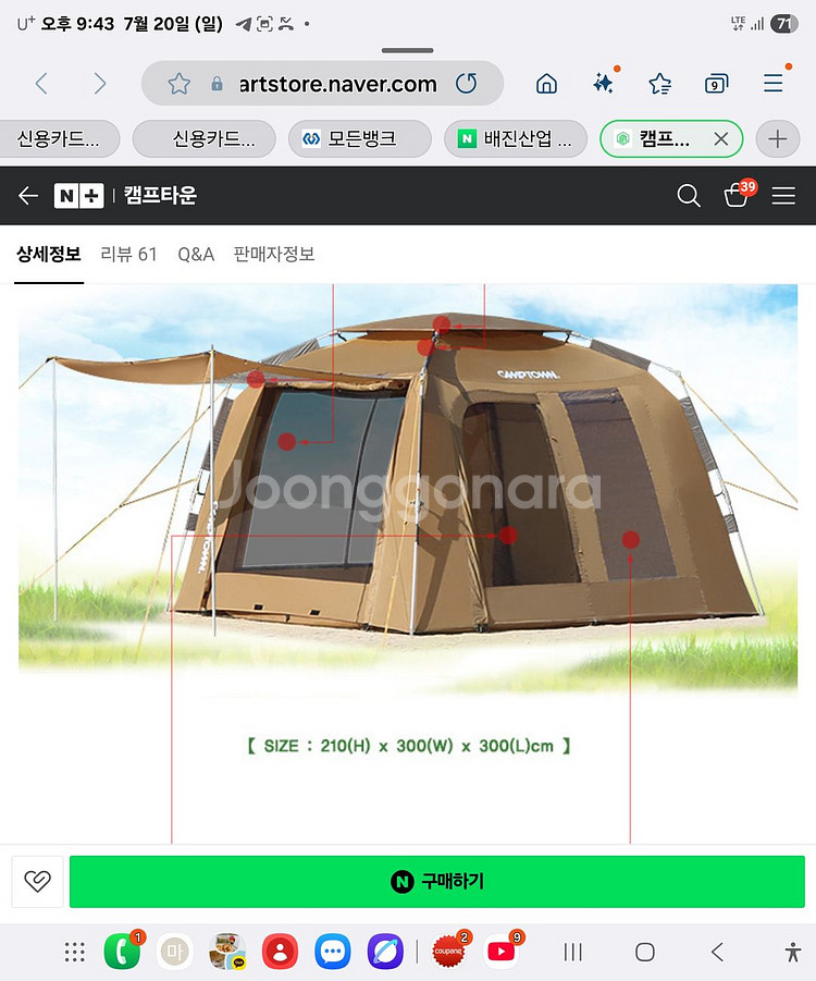 캠프타운 엘시드 자동텐트--0
