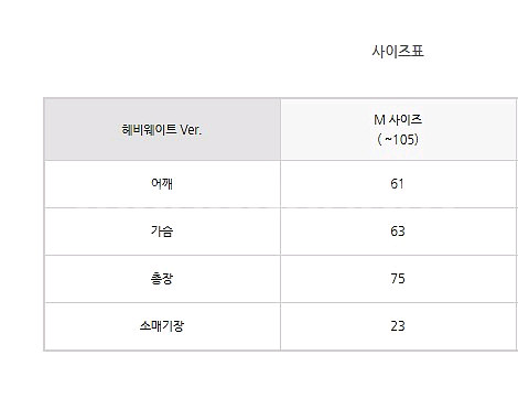 리프티즘 WLA 헤비웨이트 오버핏반팔--1