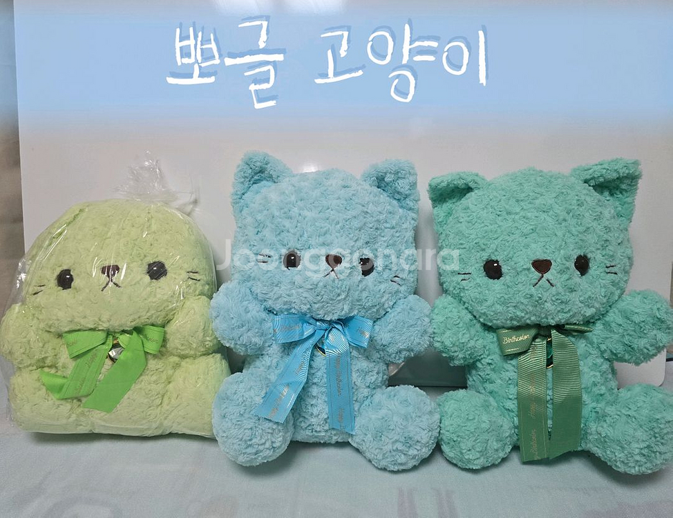 **주토피아&한교동&고양이&사메즈&폼폼푸린**--4
