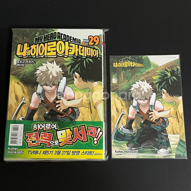 나의 히어로 아카데미아 나히아 29권 초판--0