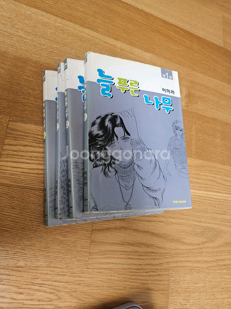 늘푸른나무 이미라--0