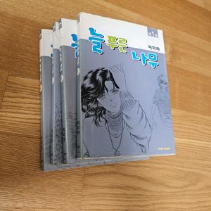 늘푸른나무 이미라