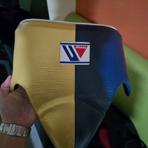 위닝 커스텀 그로인가드