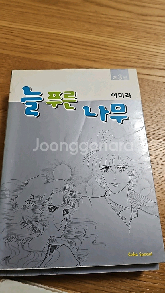 늘푸른나무 이미라--1