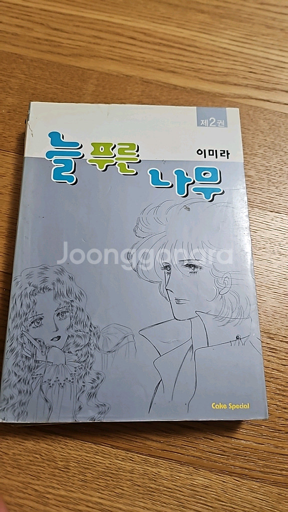 늘푸른나무 이미라--2